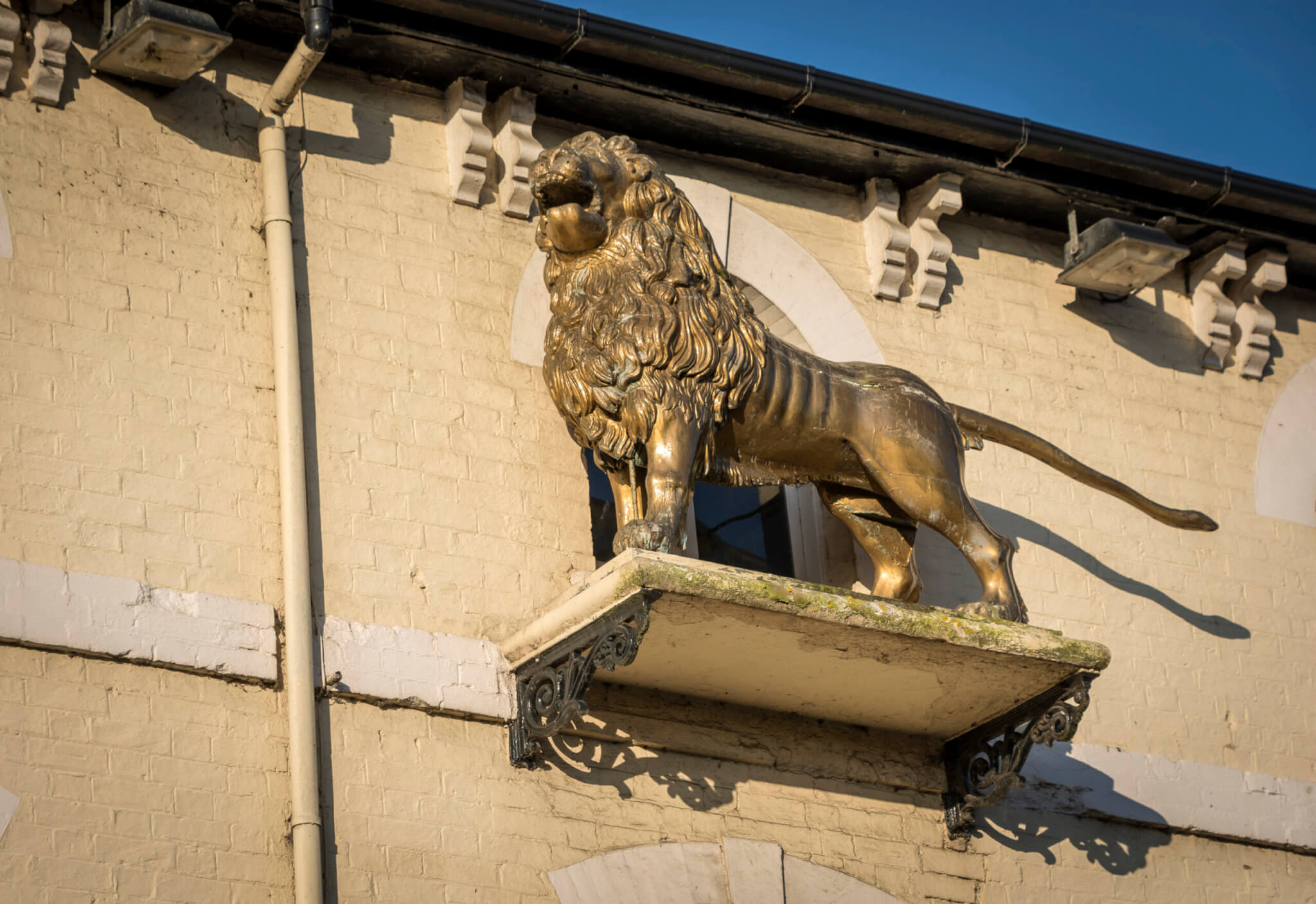 Contact sectin scaled