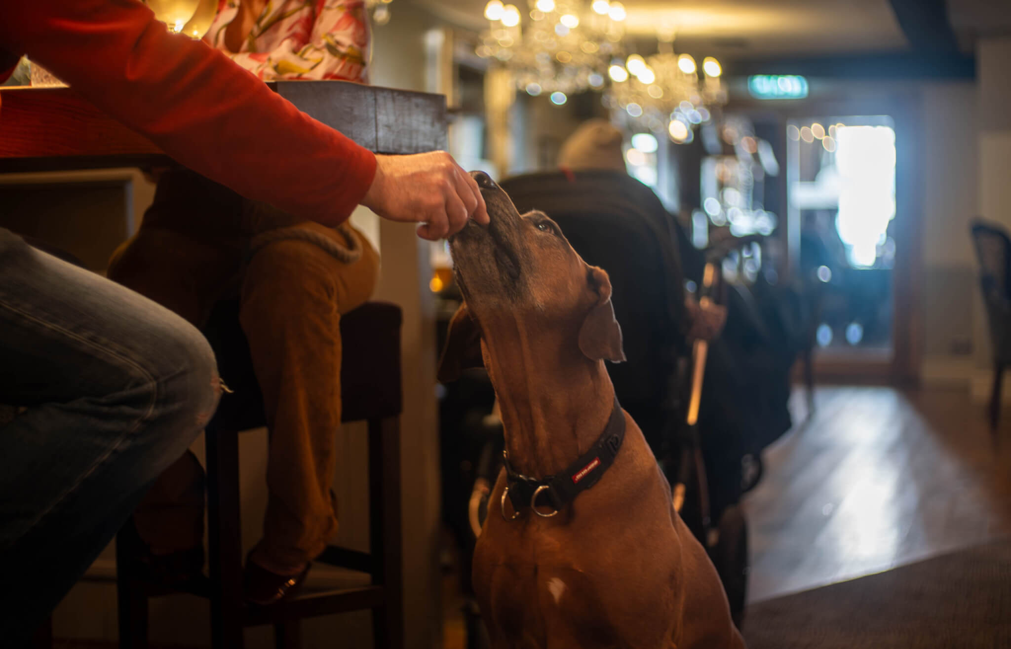 long standing establishment about scaled