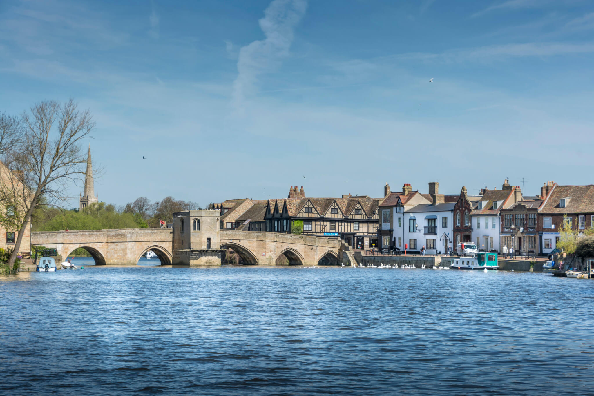 meet the team about 1 scaled